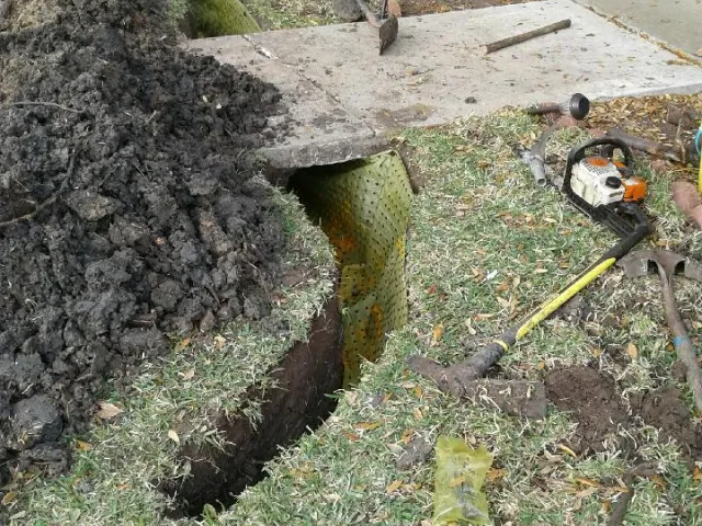 What to Expect During Root Barrier Services